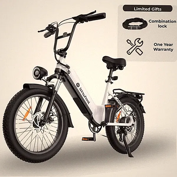 isinwheel 20" Fat Tire Electric Bike 1000W 28mph 48V 18Ah Mountain Ebike Adults
